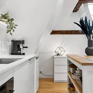 Charming Loft City Center Copenaghen